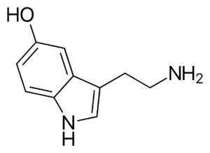 Staying Positive In Uncertain Times