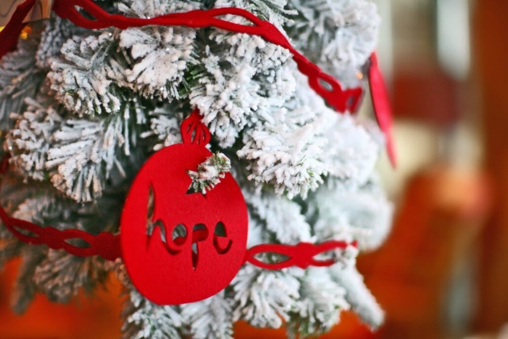 All I Want For Christmas Is...hope