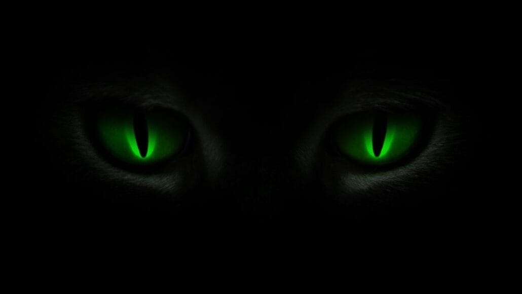 Beware The Green Eyed Monster...