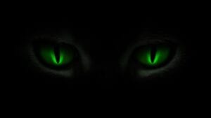 Beware The Green Eyed Monster...