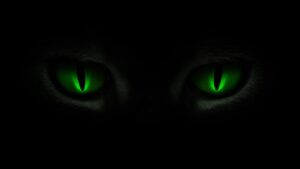 Beware The Green Eyed Monster...